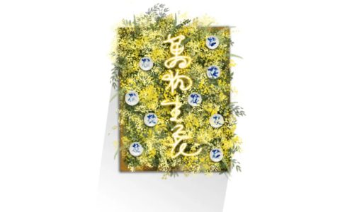 来广州，感受第一波春天