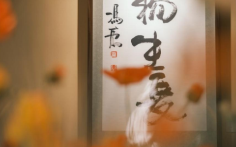 初夏，北京，万物生长